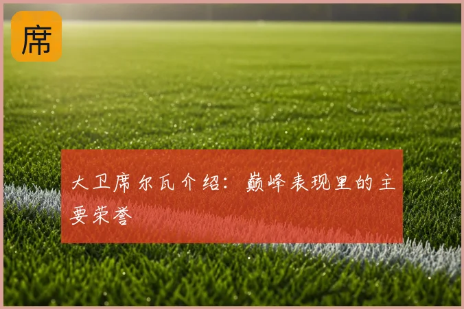 大卫席尔瓦介绍：巅峰表现里的主要荣誉